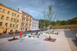 Renovated Prague 3 square features budding new greenery and a public scale