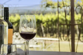 Moravian Pinot Noir wins 'world's best' title at prestigious international competition