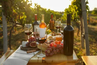 Experience a magical midsummer picnic in a Prague vineyard