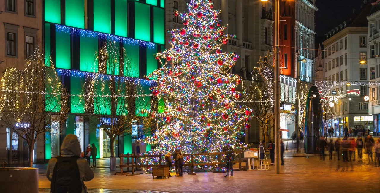 Brno Christmas tree in 2019. Photo: iStock /